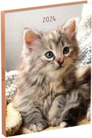 Agenda 2024 Lannoo My Favourite Friends 7dagen/2pagina's 110x150 kitten