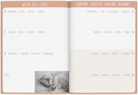 Agenda 2024 Lannoo My Favourite Friends 7dagen/2pagina's 110x150 kitten-2