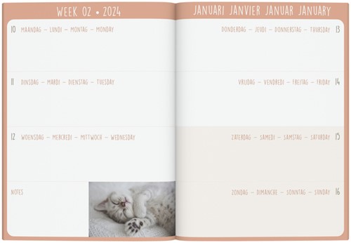 Agenda 2024 Lannoo My Favourite Friends 7dagen/2pagina's 110x150 kitten-2