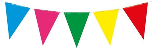 Party Flag PE Multi Colour